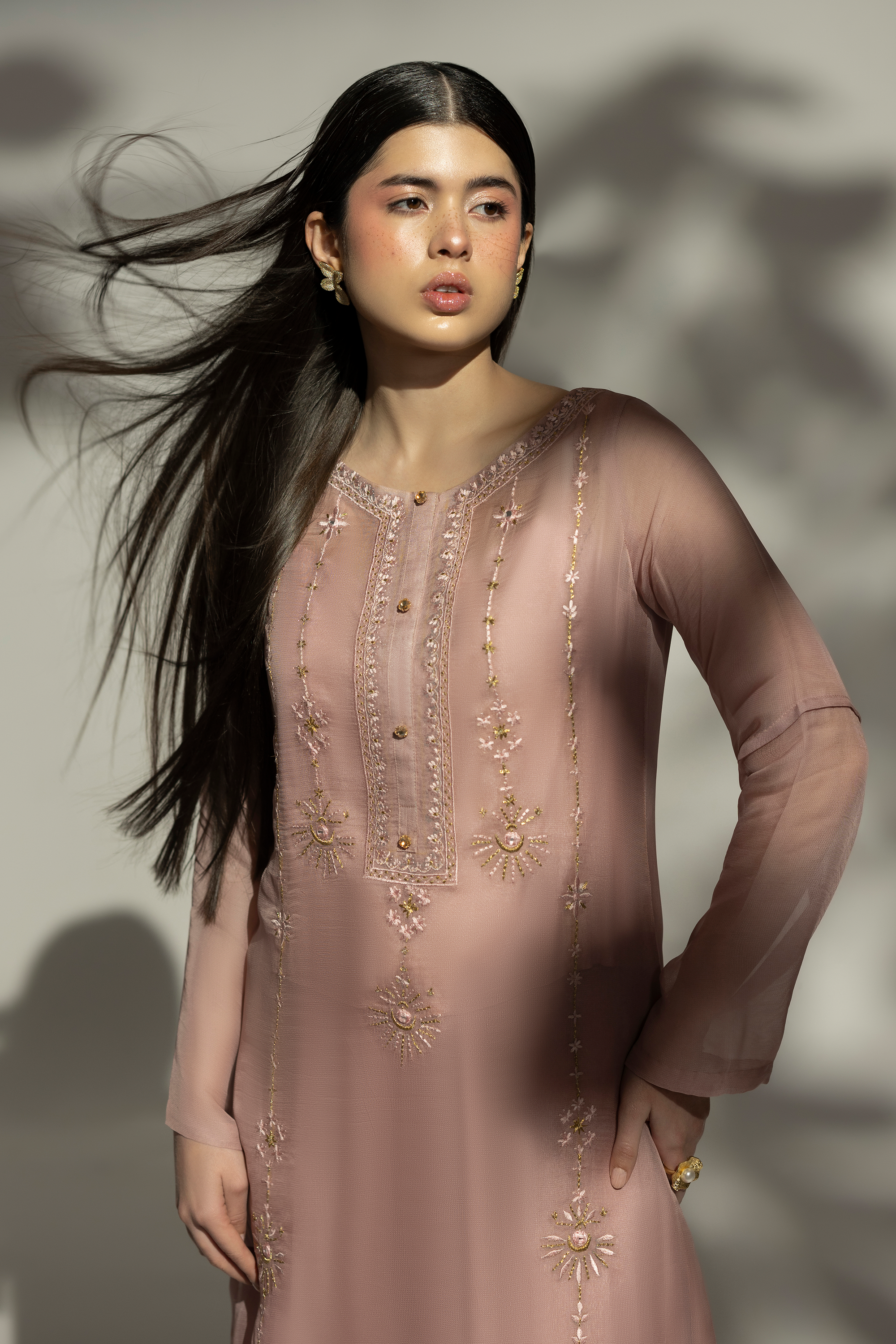 Hush of Rose - Silver Gold Embroidered Georgette Net 3 piece