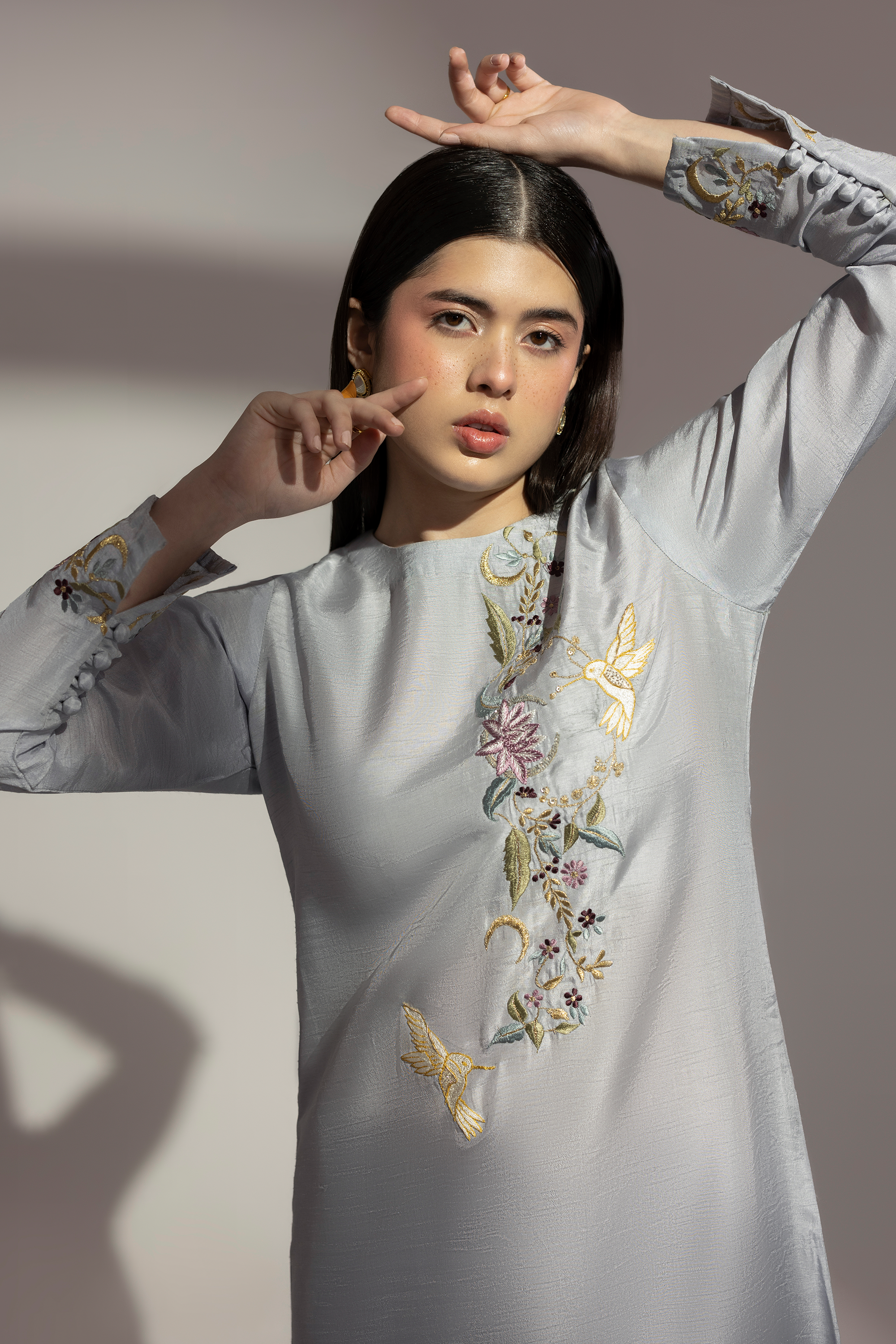 Silver Light - Embroidered Raw silk 2 piece